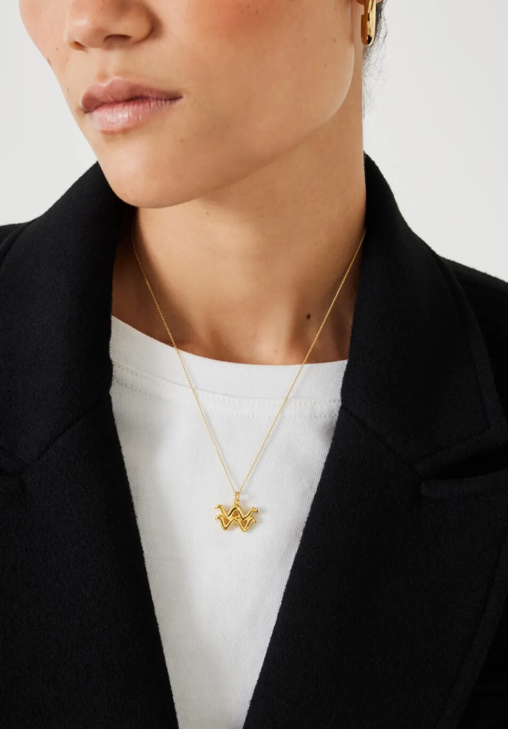 hush Jewellery|Bonvo Zodiac Necklace Aquarius