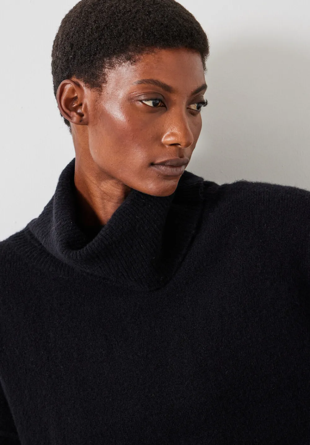 hush Jumpers & Cardigans|Meryl Wool Blend Cropped Roll Neck Jumper Black