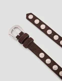 hush Belts|Seren Suede Studded Belt Dark Brown